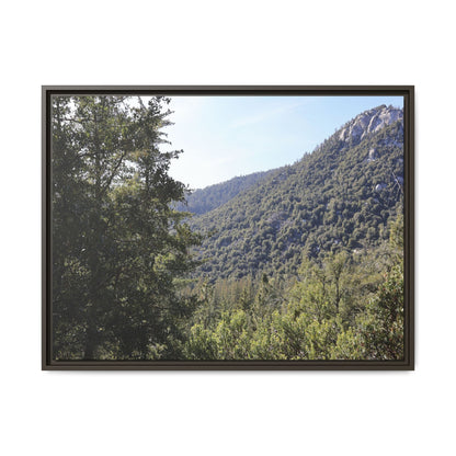 Mountain Valley Forest - Unique Stretched Canvas Wall Art