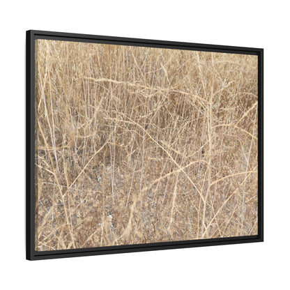 Golden Stalks - Unique Stretched Canvas Wall Art - Art By Earth