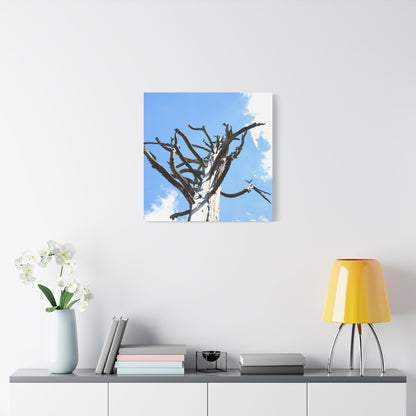 Skeletal Branches Reaching - Unique Frameless Canvas Wall Art - Art By Earth