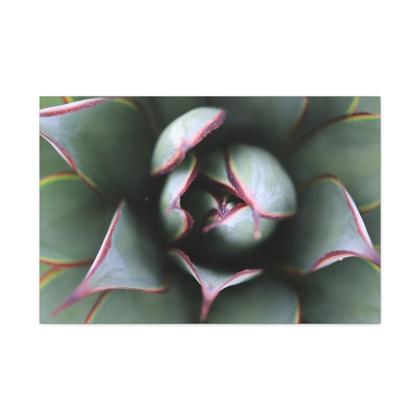 Emerald Spiral - Unique Frameless Canvas Wall Art - Art By Earth