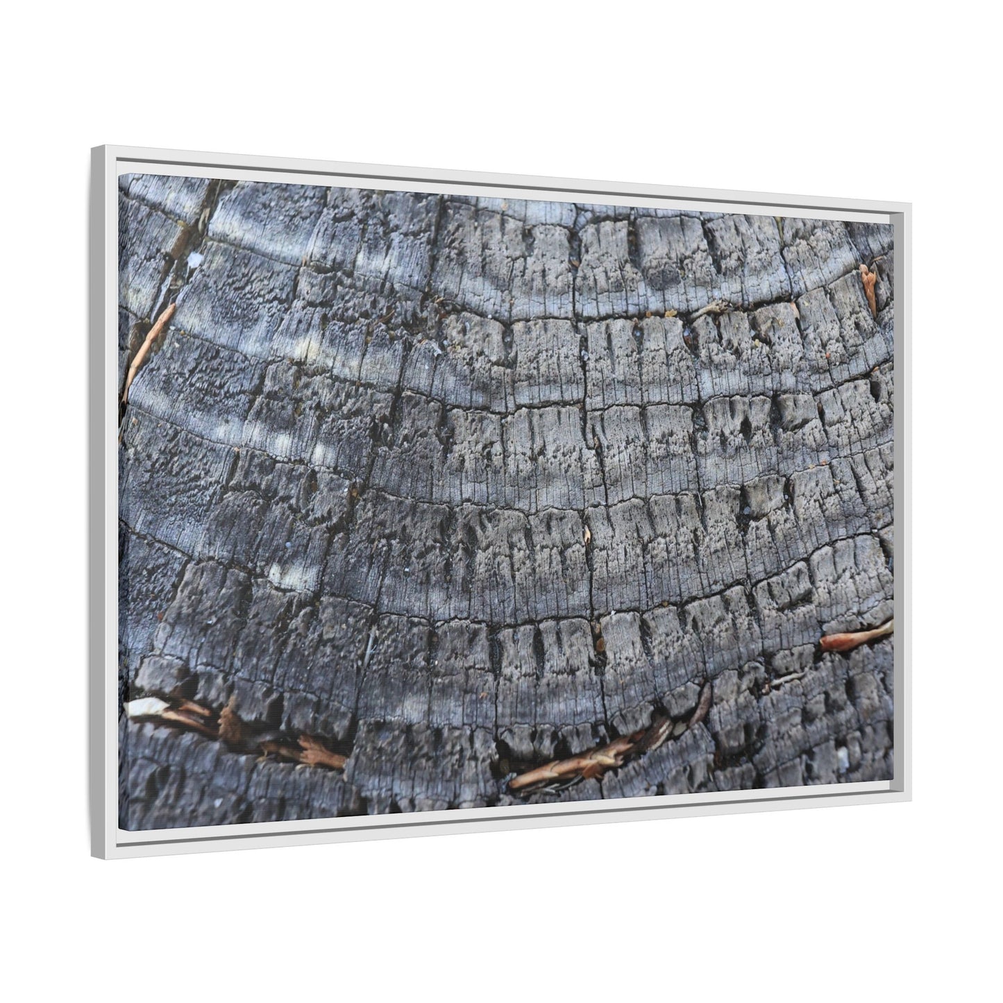 Charred Memories - Unique Stretched Canvas Wall Art - Art By Earth
