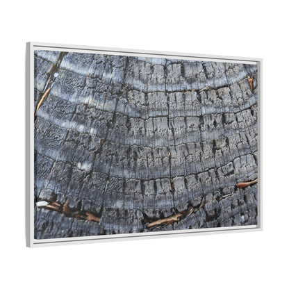 Charred Memories - Unique Stretched Canvas Wall Art - Art By Earth