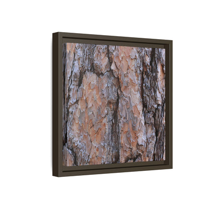 Tree Skin Symphony - Unique Stretched Canvas Wall Art - Art By Earth