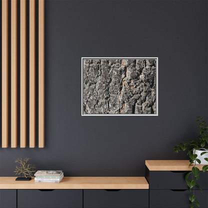 Aged Beauty - Unique Stretched Canvas Wall Art - Art By Earth