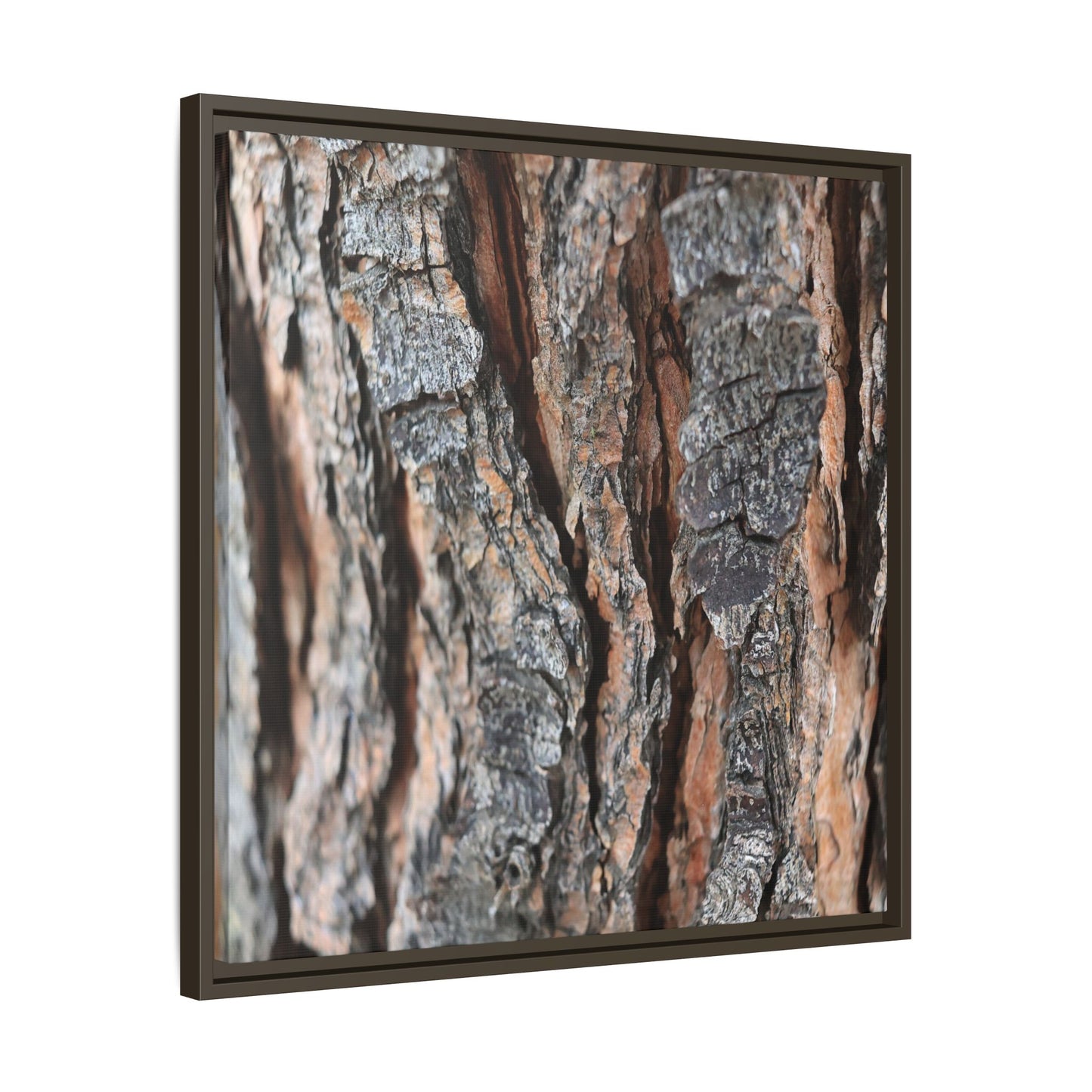 Fractured Nature - Unique Stretched Canvas Wall Art - Art By Earth