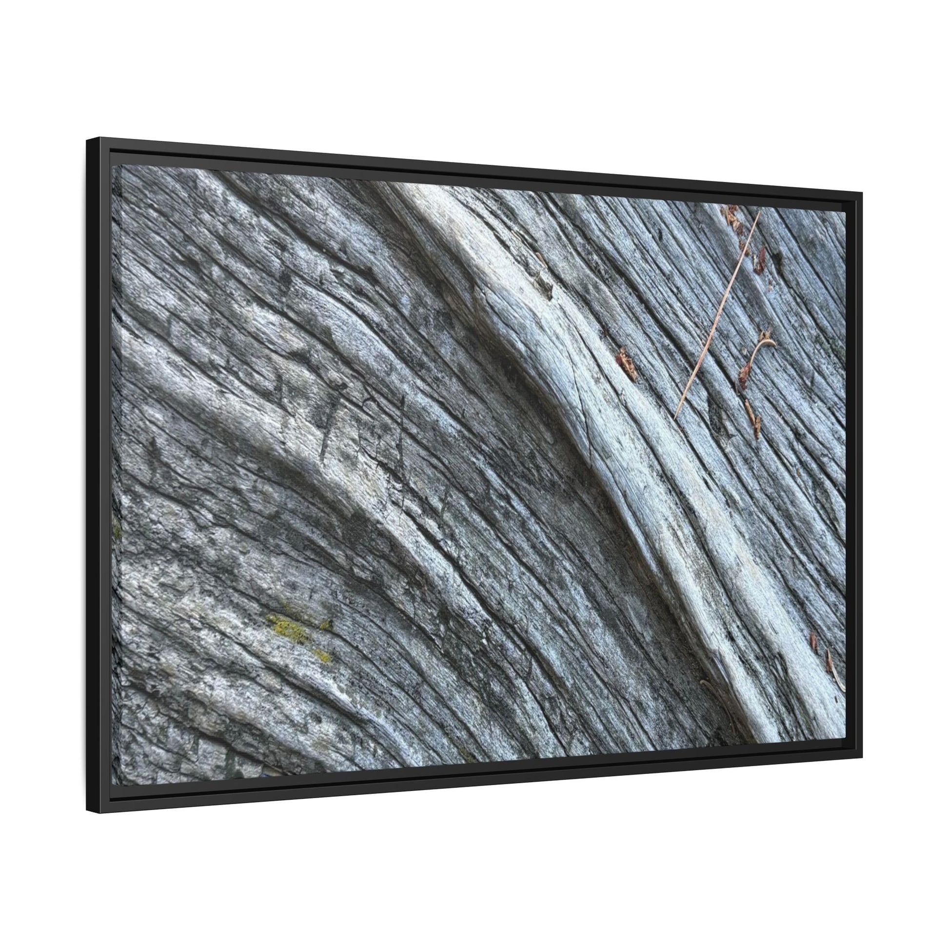 Aged Timber - Unique Stretched Canvas Wall Art - Art By Earth