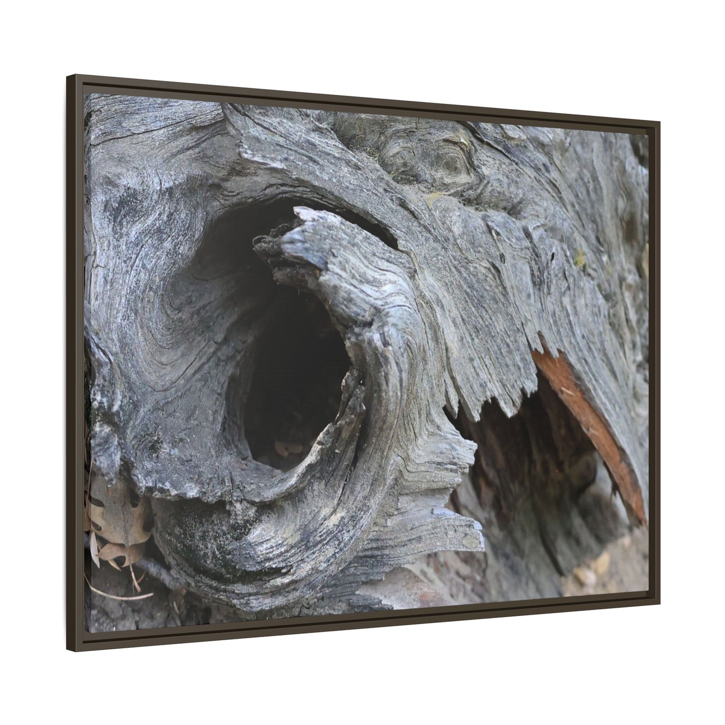 Bark's Labyrinth - Unique Stretched Canvas Wall Art - Art By Earth