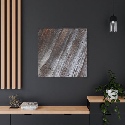 Aged Planks - Unique Frameless Canvas Wall Art - Art By Earth
