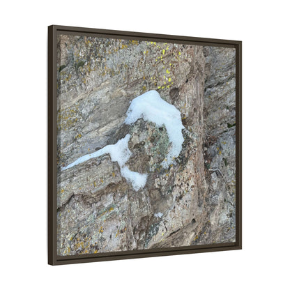 Lichen's Embrace - Unique Stretched Canvas Wall Art