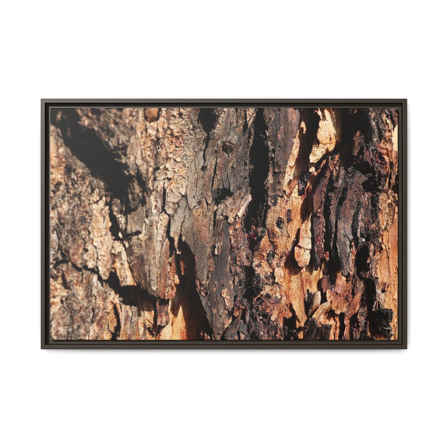 Rugged Beauty - Unique Stretched Canvas Wall Art - Art By Earth