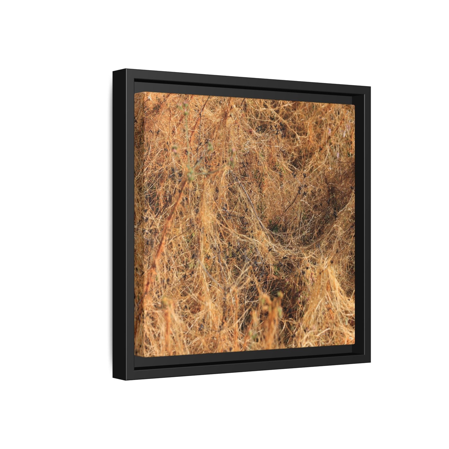 Dried Vegetation Study - Unique Stretched Canvas Wall Art - Art By Earth