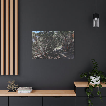 Desert Blooms - Unique Frameless Canvas Wall Art