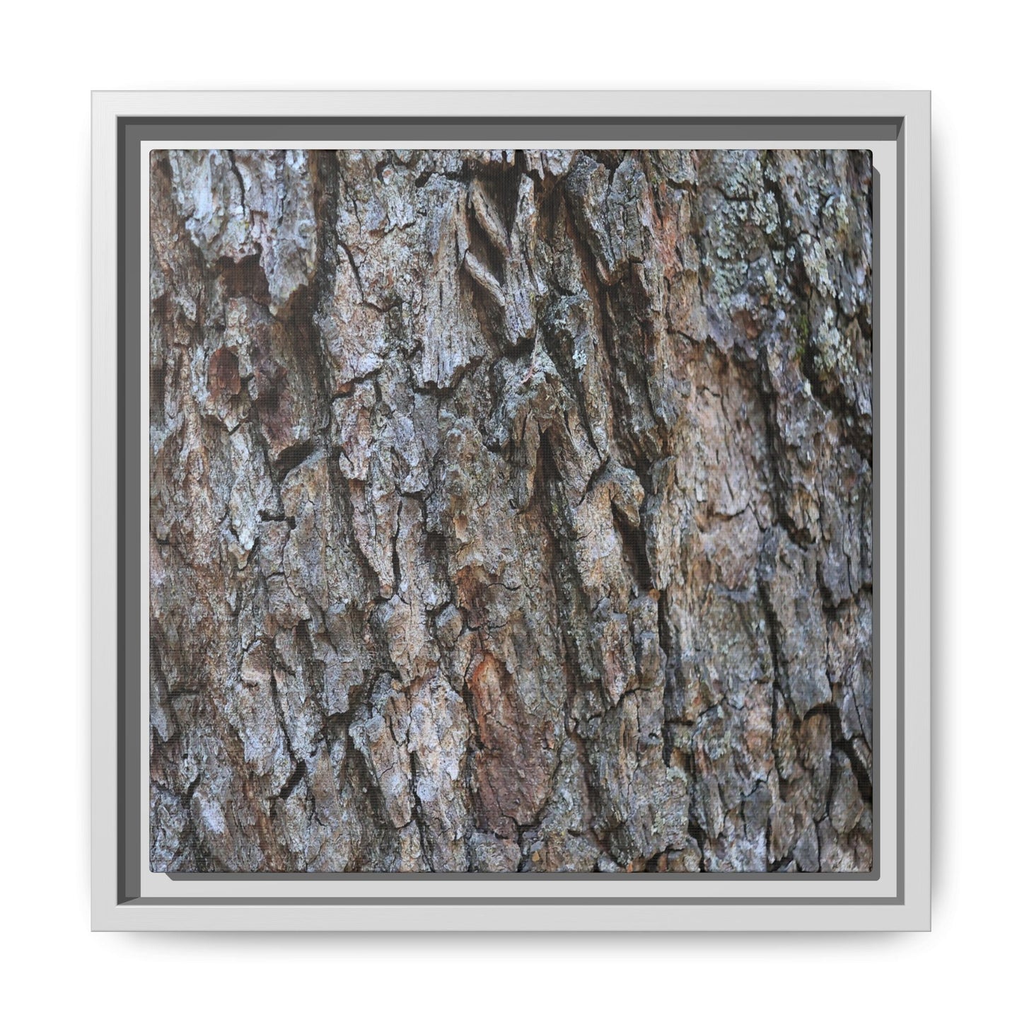 Woodland Skin - Unique Stretched Canvas Wall Art - Art By Earth