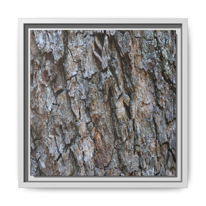 Woodland Skin - Unique Stretched Canvas Wall Art - Art By Earth