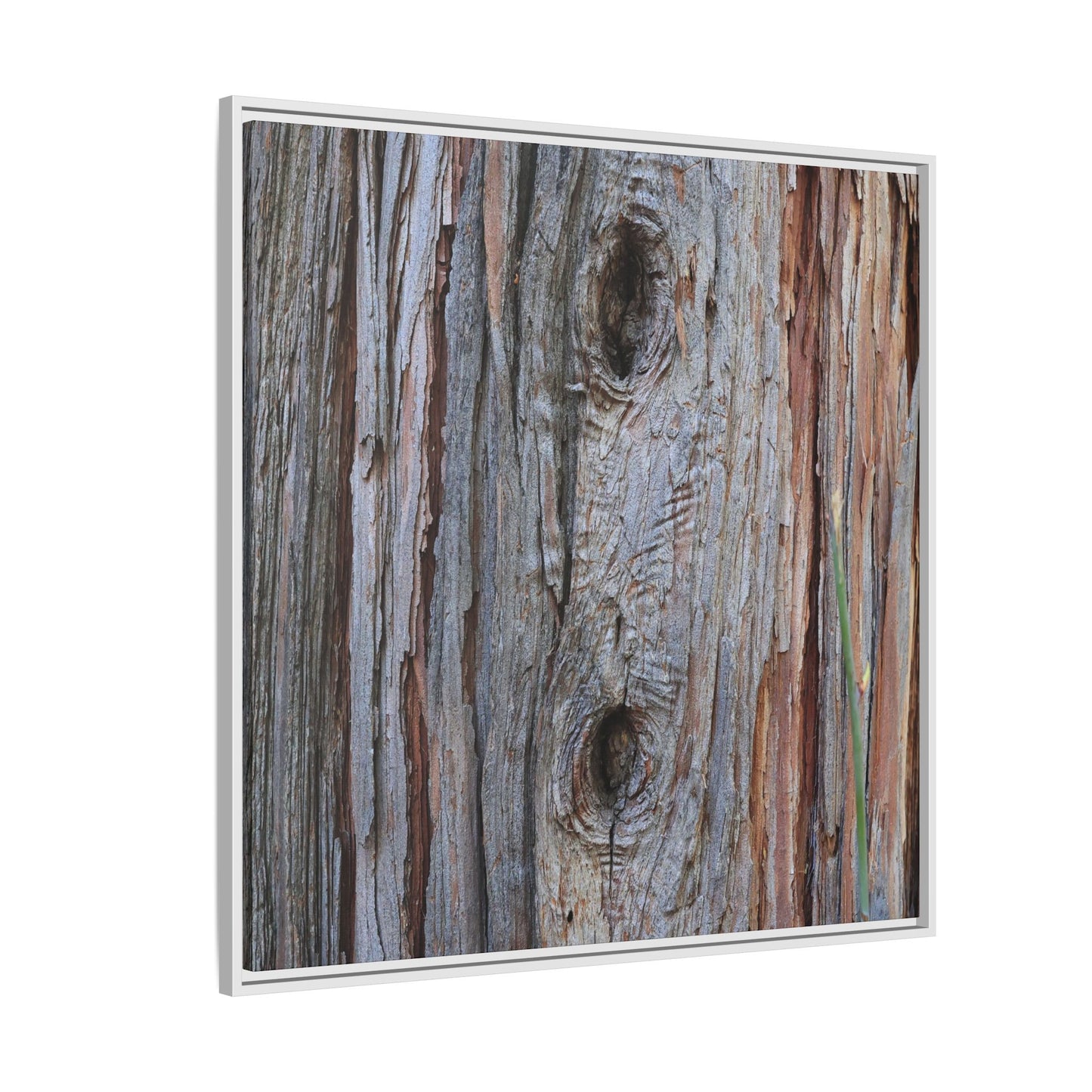 Knotty Nature - Unique Stretched Canvas Wall Art - Art By Earth