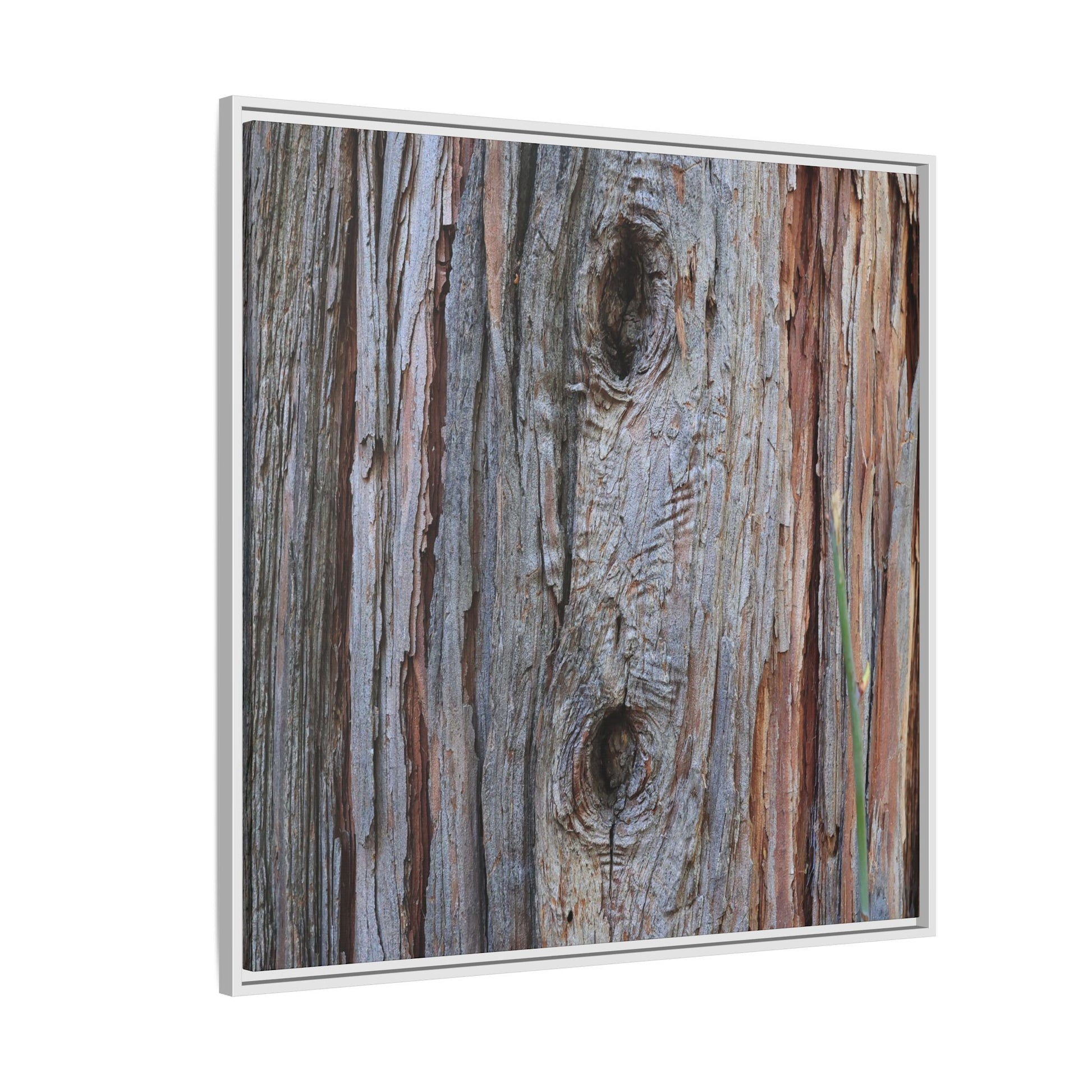 Knotty Nature - Unique Stretched Canvas Wall Art - Art By Earth