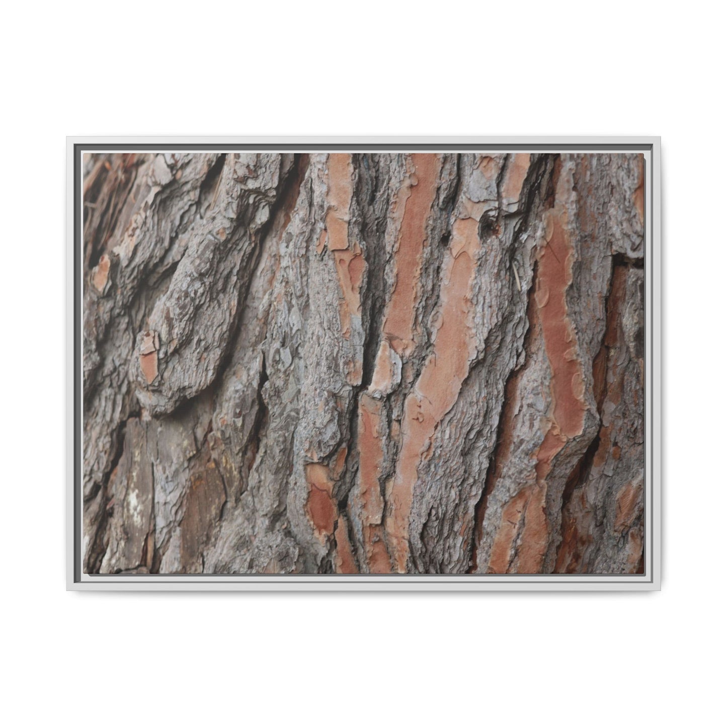 Woodland Layers - Unique Stretched Canvas Wall Art - Art By Earth
