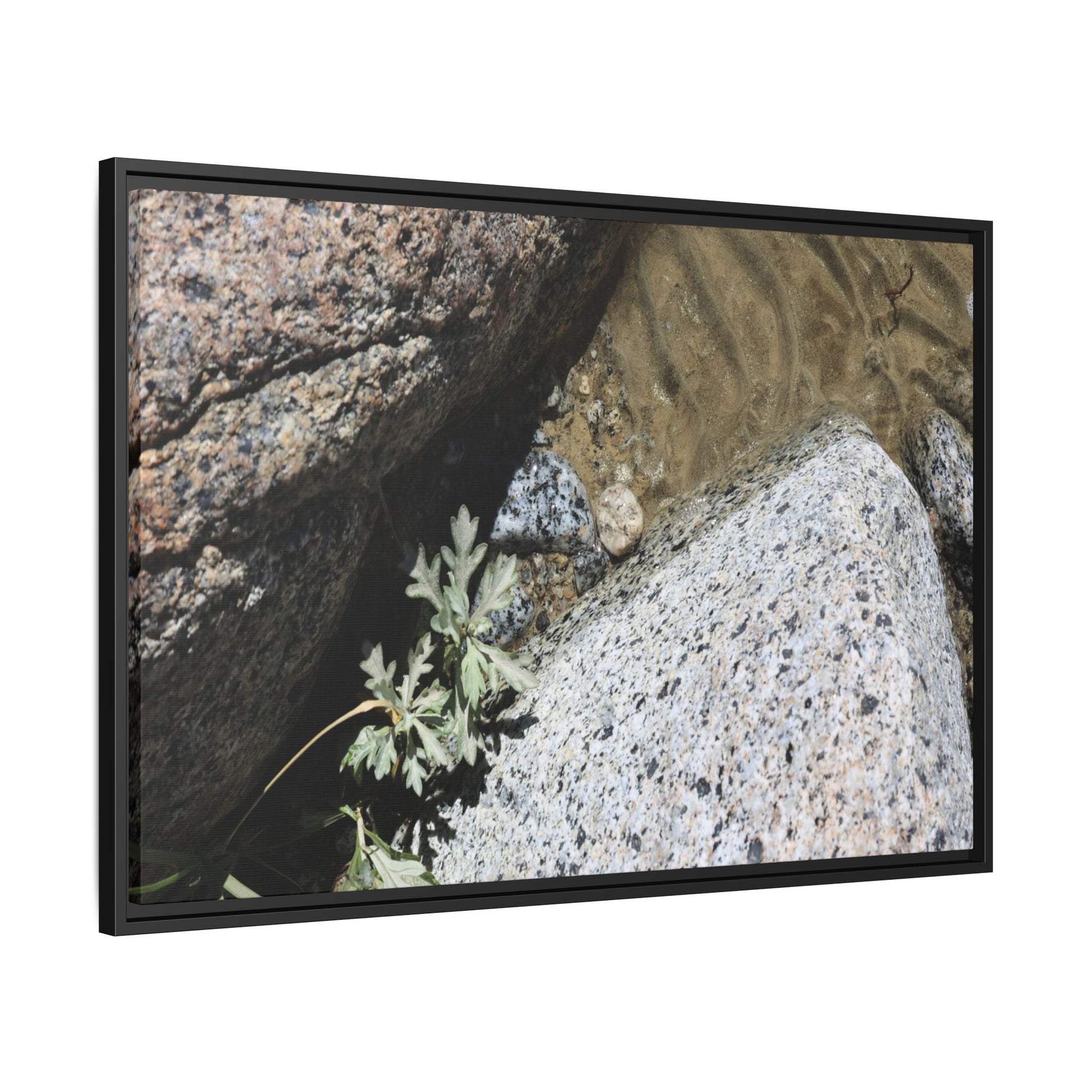 Resilience in Stone - Unique Stretched Canvas Wall Art - Art By Earth