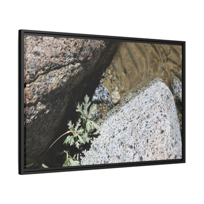 Resilience in Stone - Unique Stretched Canvas Wall Art - Art By Earth