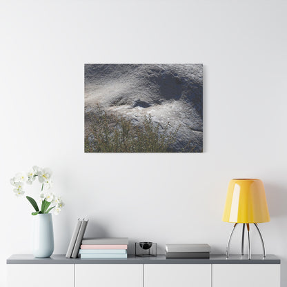 Stone Face in Nature - Unique Frameless Canvas Wall Art