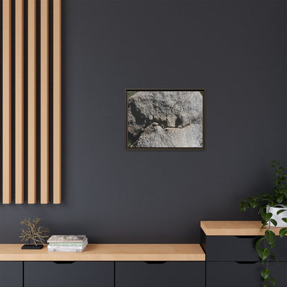 Stone Skull in Desert - Unique Stretched Canvas Wall Art