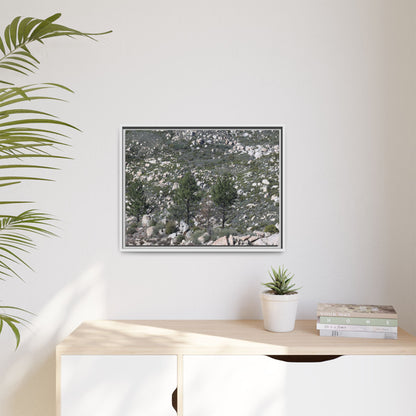 Rocky Hillside with Pine Trees - Unique Stretched Canvas Wall Art - Art By Earth