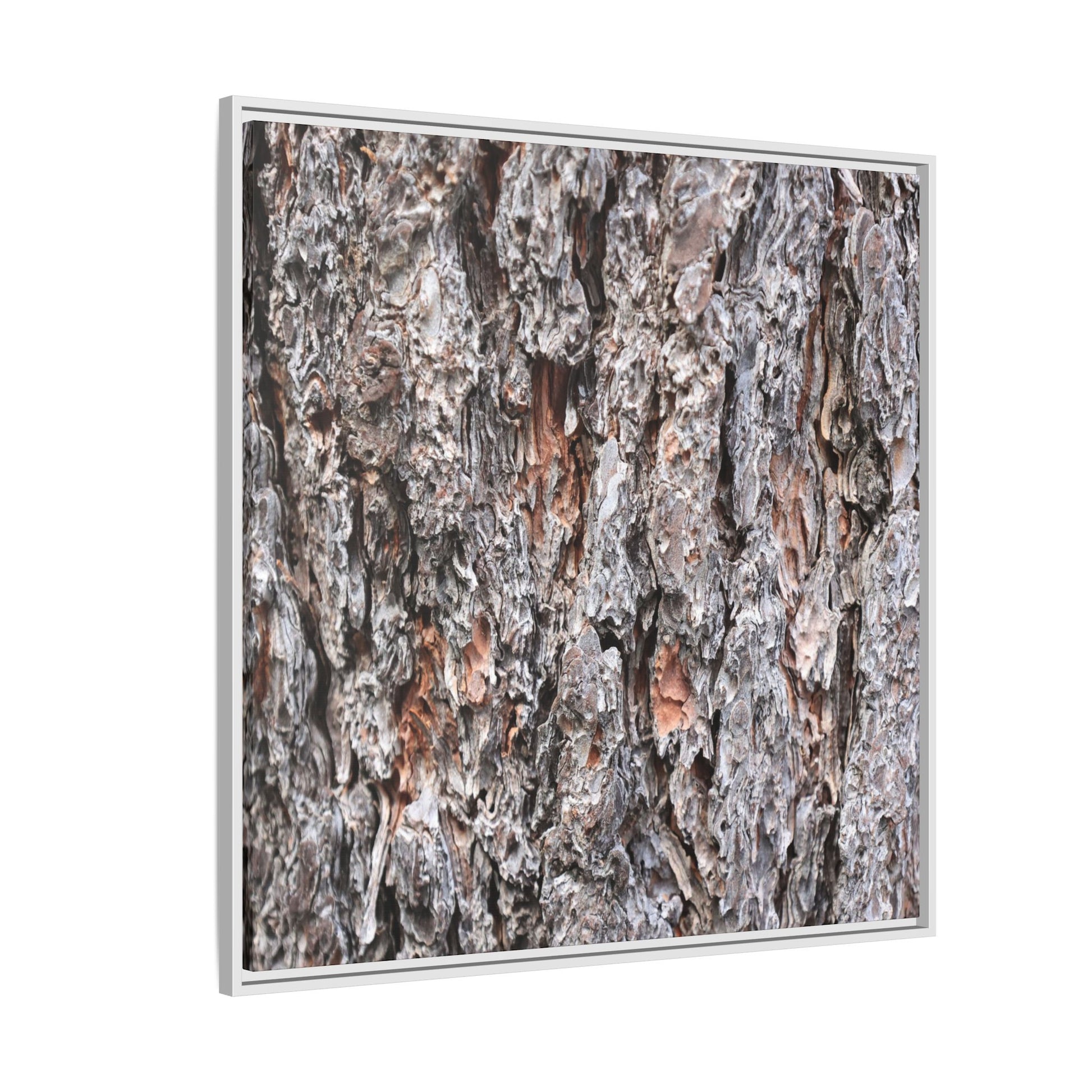 Rugged Cortex - Unique Stretched Canvas Wall Art - Art By Earth