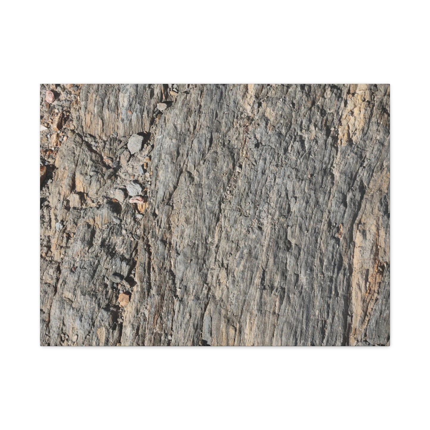 Bark Echoes - Unique Frameless Canvas Wall Art - Art By Earth