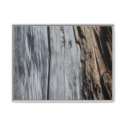 Wood's Lament - Unique Stretched Canvas Wall Art - Art By Earth