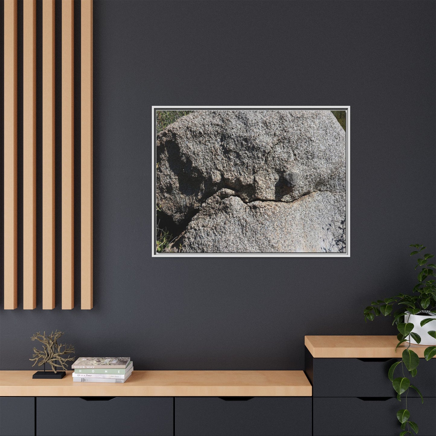 Stone Skull in Desert - Unique Stretched Canvas Wall Art