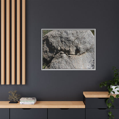 Stone Skull in Desert - Unique Stretched Canvas Wall Art