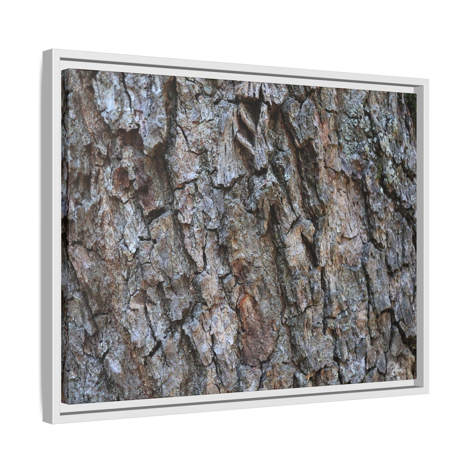 Woodland Skin - Unique Stretched Canvas Wall Art - Art By Earth