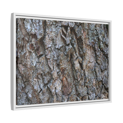 Woodland Skin - Unique Stretched Canvas Wall Art - Art By Earth