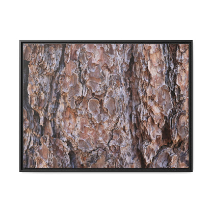 Woody Layers - Unique Stretched Canvas Wall Art - Art By Earth