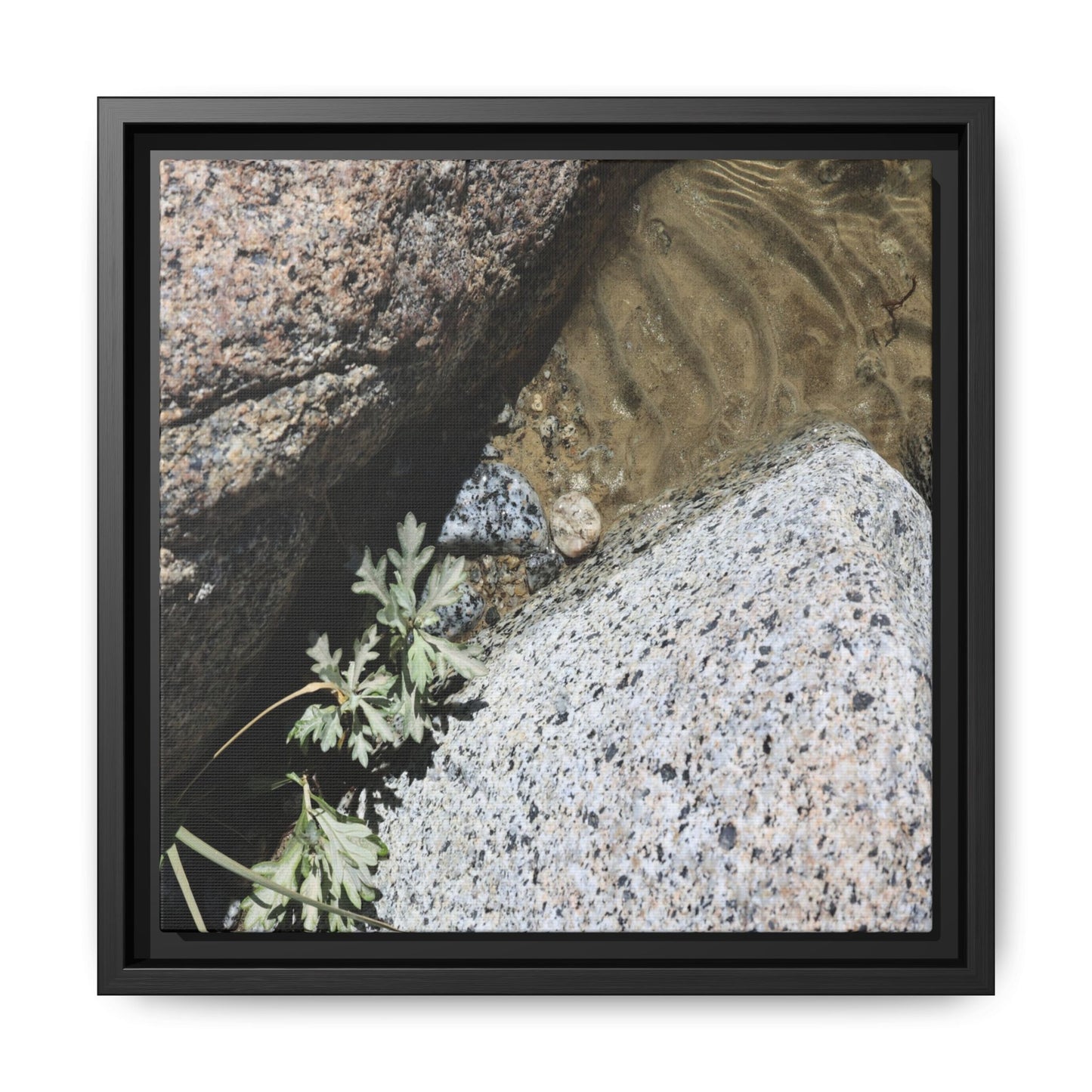 Resilience in Stone - Unique Stretched Canvas Wall Art - Art By Earth