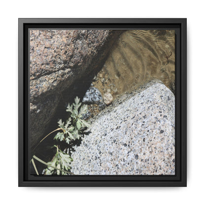 Resilience in Stone - Unique Stretched Canvas Wall Art - Art By Earth