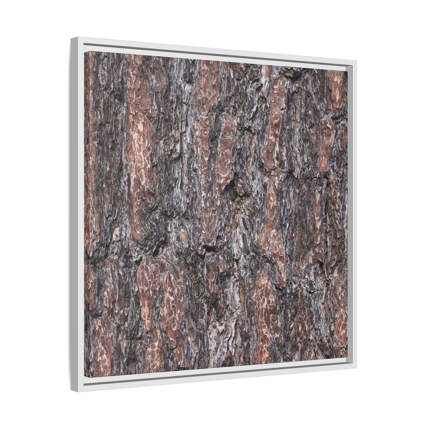 Echoes of Wood - Unique Stretched Canvas Wall Art