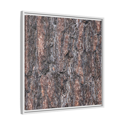 Echoes of Wood - Unique Stretched Canvas Wall Art