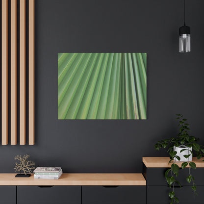 Palm Pulse - Unique Frameless Canvas Wall Art - Art By Earth