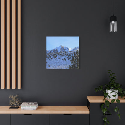 Snowy Peaks and Stoic Pines - Unique Frameless Canvas Wall Art