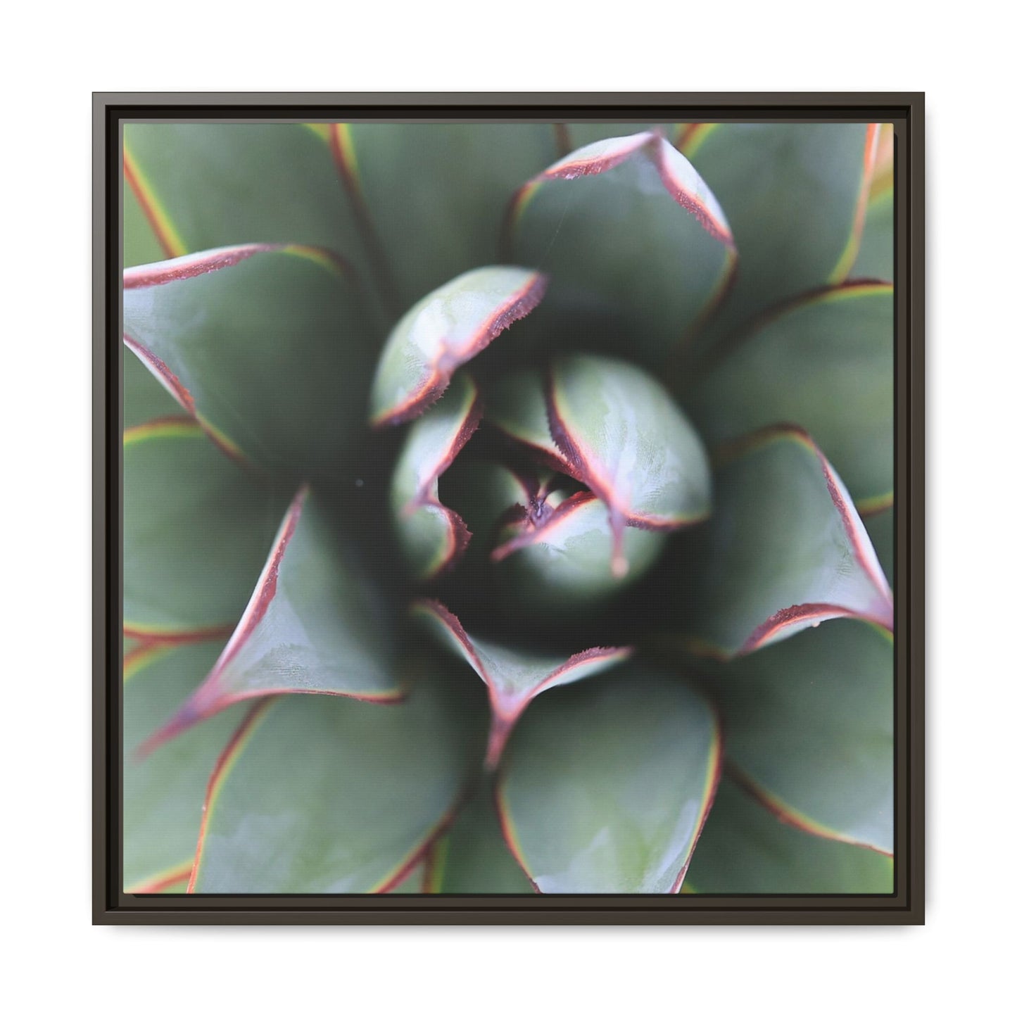 Spiky Elegance - Unique Stretched Canvas Wall Art - Art By Earth