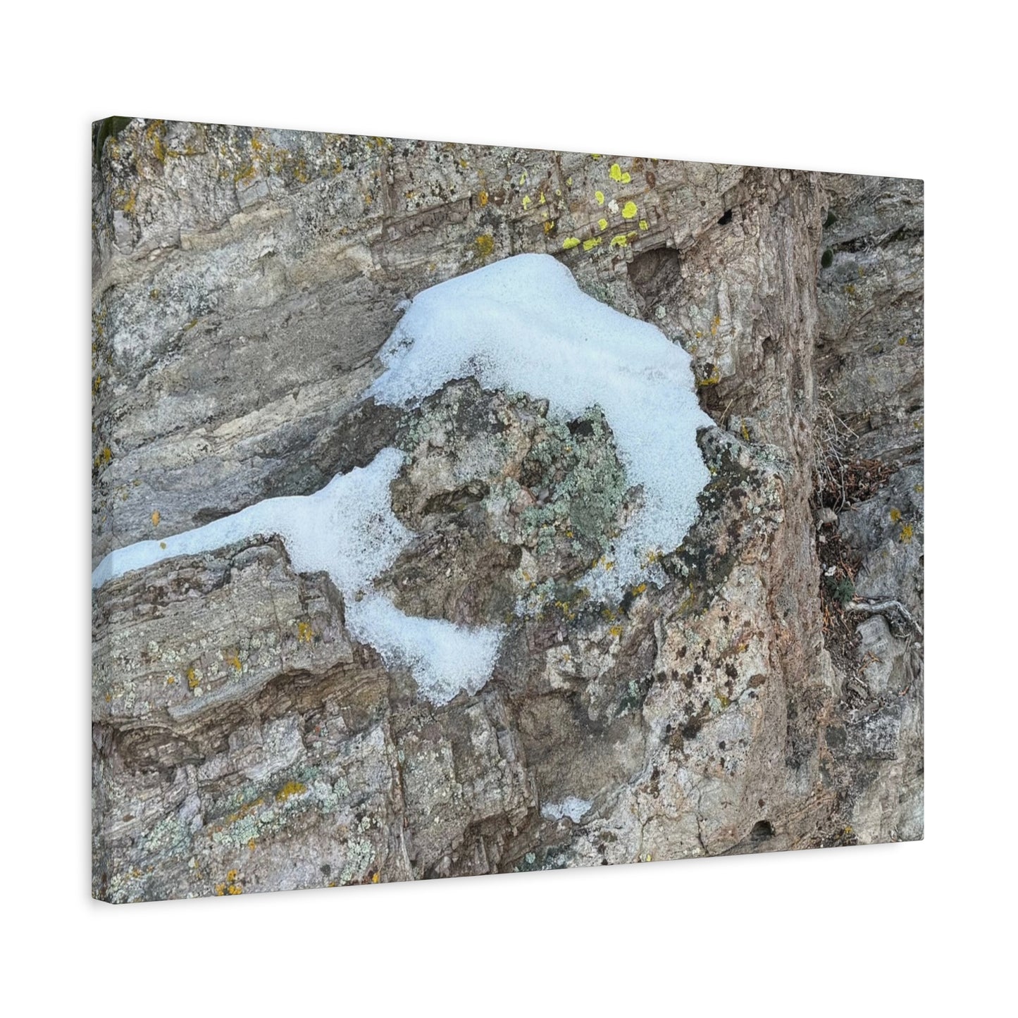 Snow on Stone - Unique Frameless Canvas Wall Art