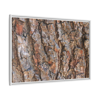 Tree's Timeworn Tale - Unique Stretched Canvas Wall Art - Art By Earth