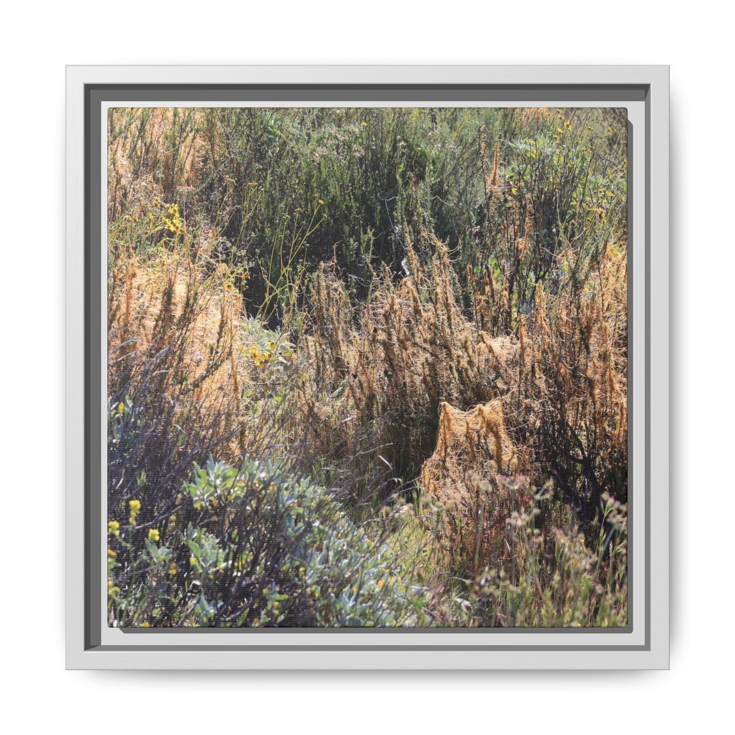 Drought-Stricken Landscape - Unique Stretched Canvas Wall Art - Art By Earth
