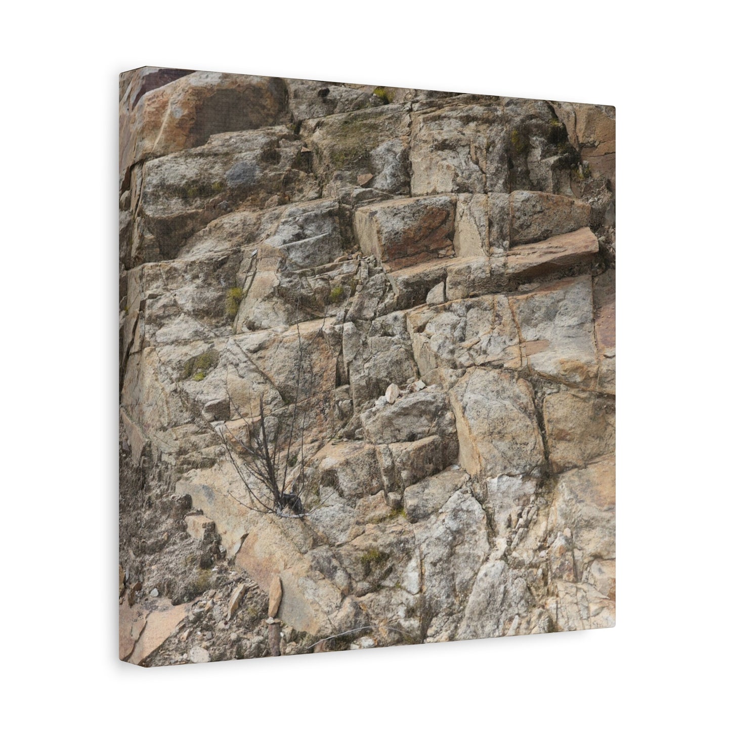 Broken Rock Canvas - Unique Frameless Canvas Wall Art - Art By Earth