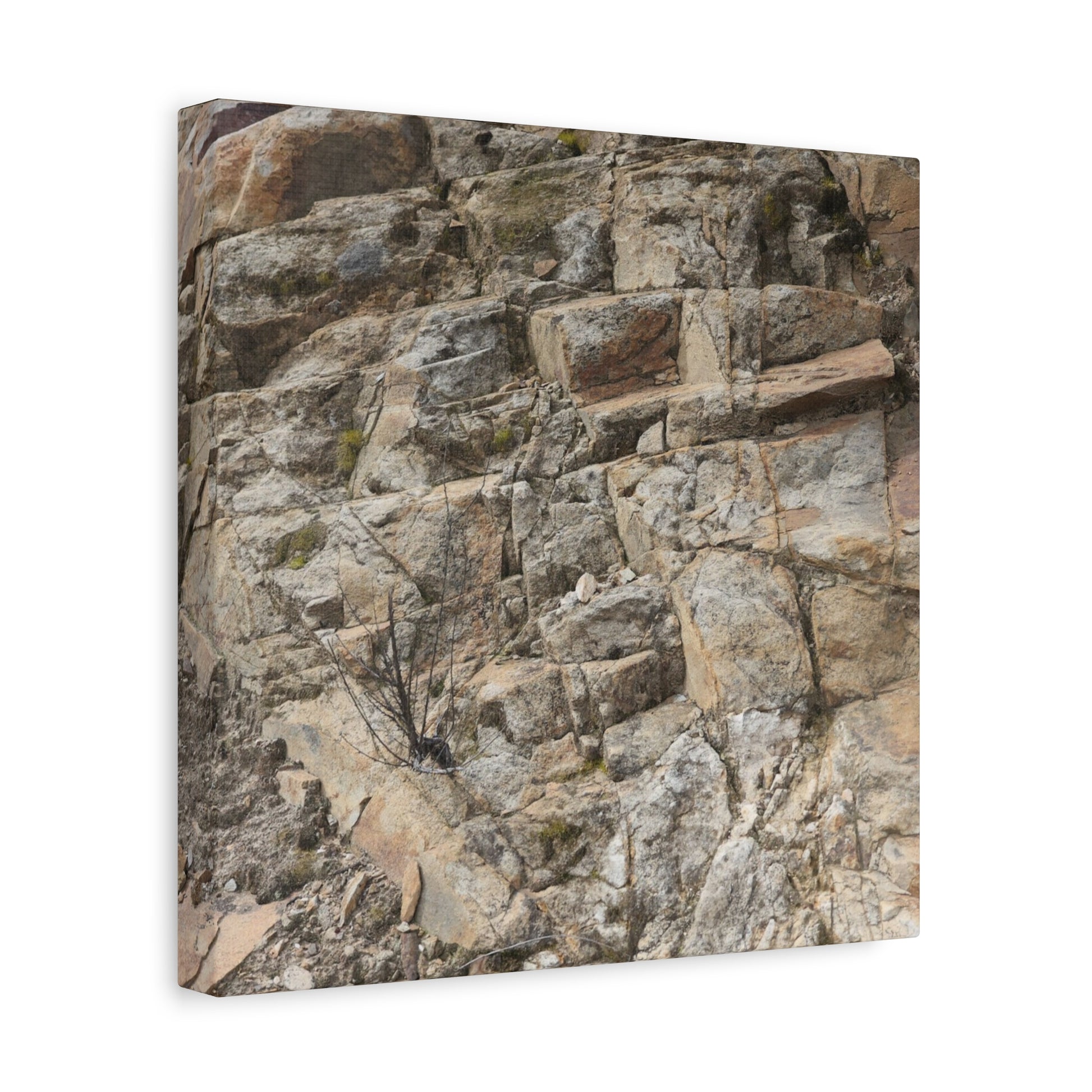 Broken Rock Canvas - Unique Frameless Canvas Wall Art - Art By Earth