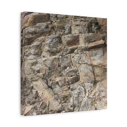 Broken Rock Canvas - Unique Frameless Canvas Wall Art - Art By Earth