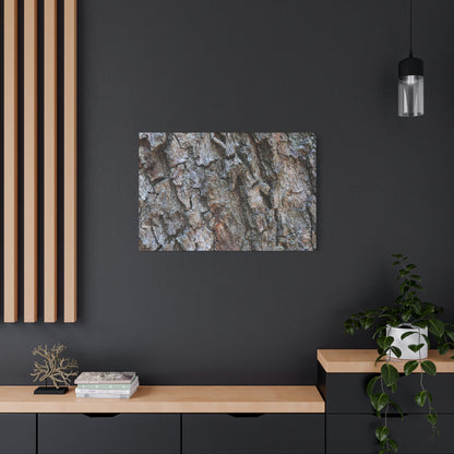 Rugged Canvas - Unique Frameless Canvas Wall Art - Art By Earth