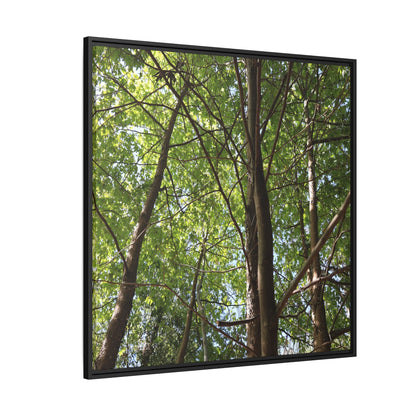 Forest Branches - Unique Stretched Canvas Wall Art