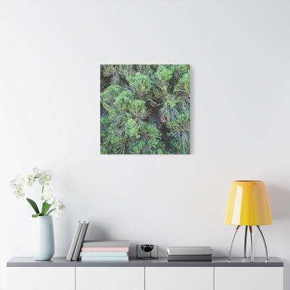 Green Labyrinth - Unique Frameless Canvas Wall Art - Art By Earth